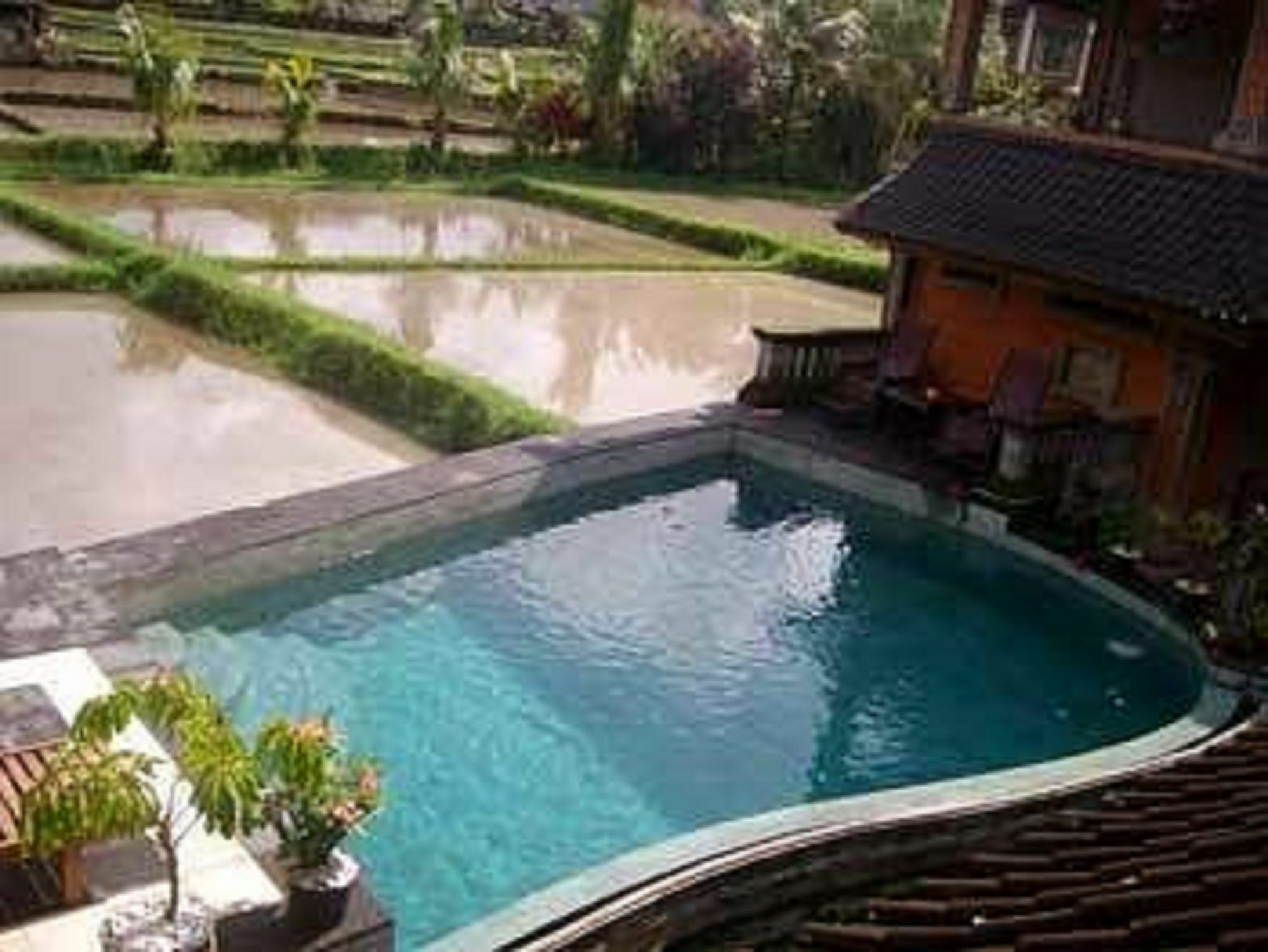 Ala'S Green Lagoon Ubud Exteriör bild