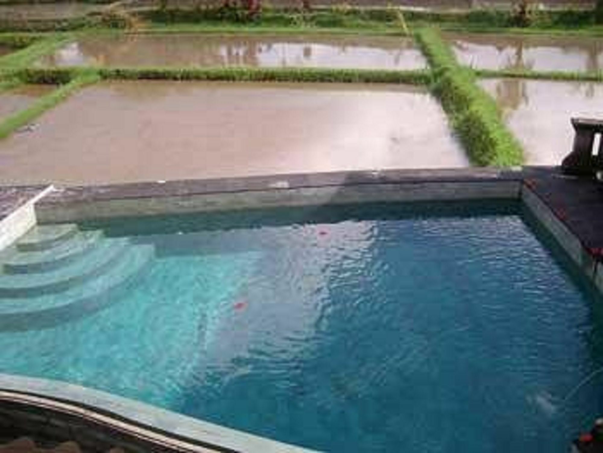 Ala'S Green Lagoon Ubud Exteriör bild