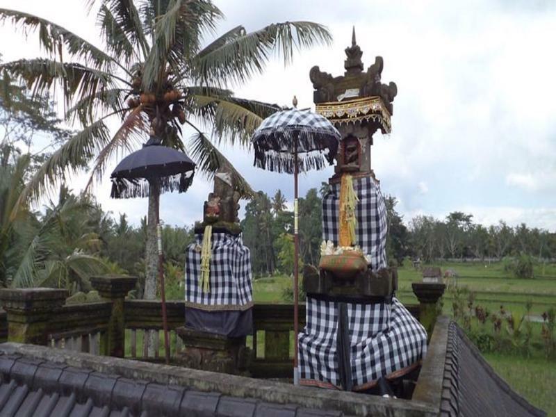 Ala'S Green Lagoon Ubud Exteriör bild