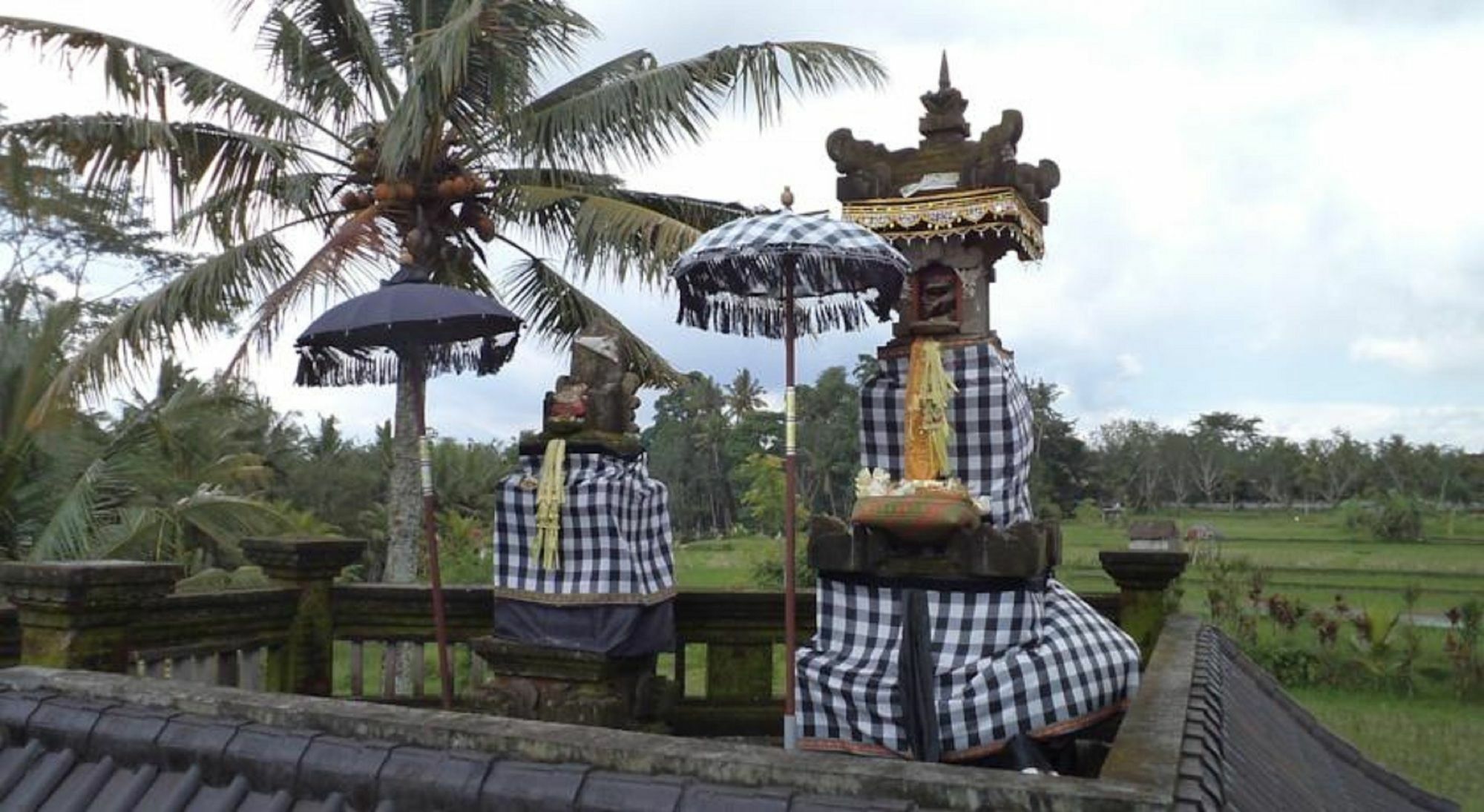 Ala'S Green Lagoon Ubud Exteriör bild
