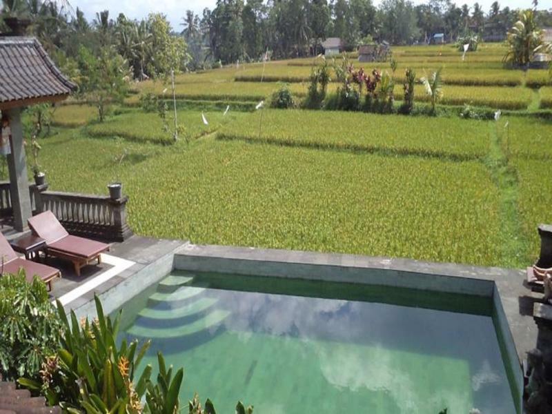 Ala'S Green Lagoon Ubud Exteriör bild